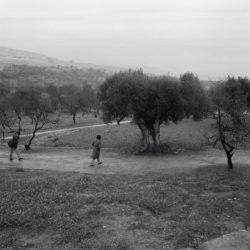 walking in the ancient landscape of Agrigento, Sicily
