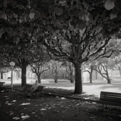 Man on park bench in city park in Coimbra, Portugal