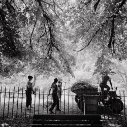 Park gardeners in Coimbra Park, Portugal.